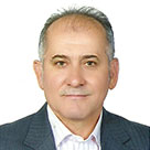 داوود محمدحسنی