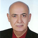 بیژن امیری